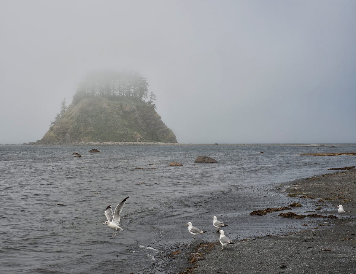 A view of the pyramid of Tskawahyah Island as from Cape Alava, with seagulls looking for food in the low surf of the Pacific Ocean.