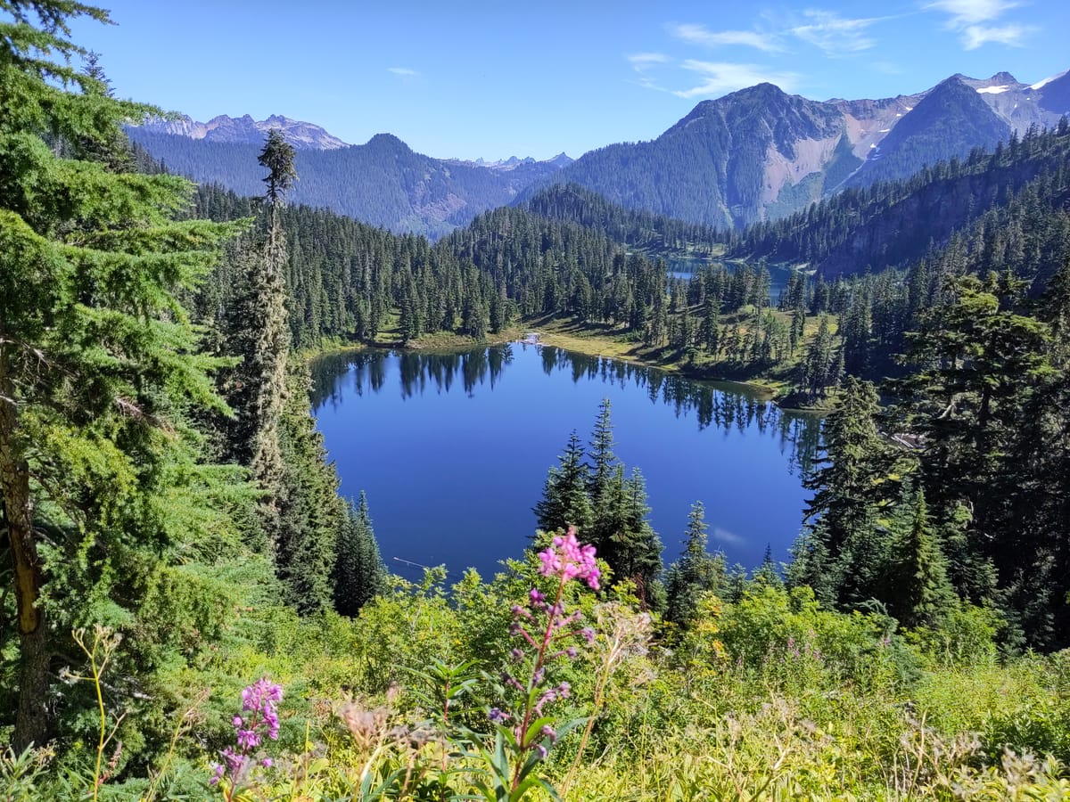 A view from a pass down to two deep blue lakes, forested peaks and fireweed in the foreground.