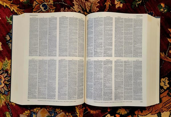 A compact Oxford English dictionary with very fine text, lies open on a floral tapestry. 