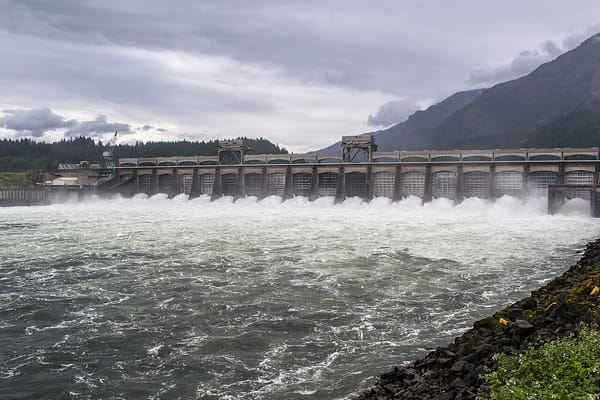 White water pours from a dozen spillways on a dam across the Columbia River.